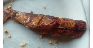 Fried-golden-crispy-homemade-fried-fish