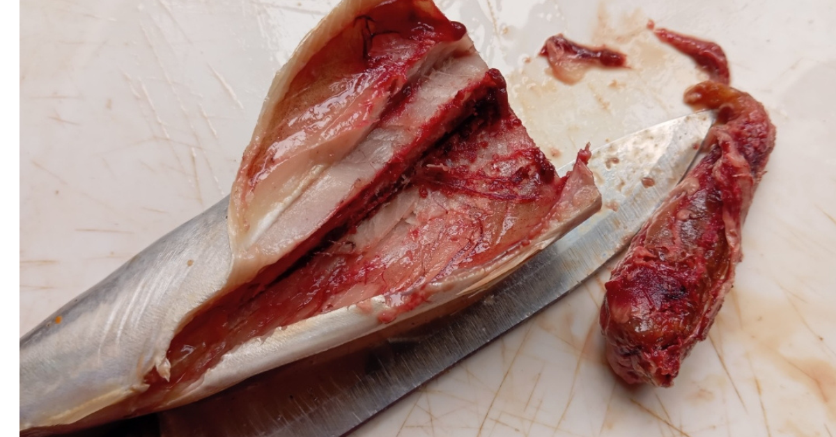 Fish-that-its-guts-has-been-removed.