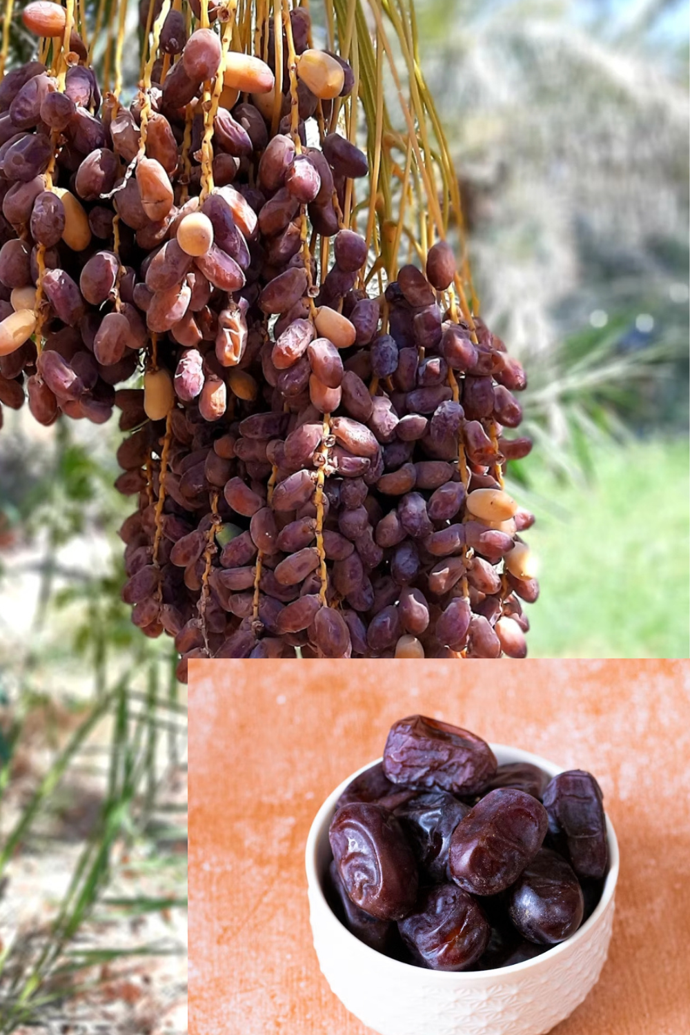 How to make tigernut drink with dates and coconut
