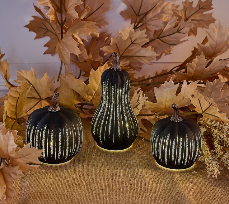 Halloween pumpkin patching 